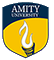 Amity University